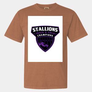 Comfort Colors Heavyweight Ring Spun Tee Thumbnail